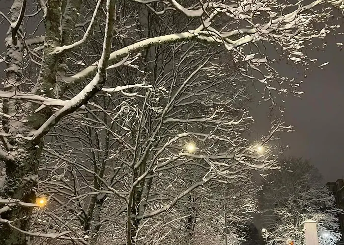 Homestay Pi To Ngo Qua